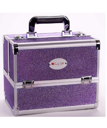 DS1003 - M Sparkly Purple Case