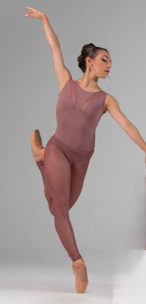 Anastasia Round Neck Mesh Panel Leotard