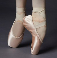 ES0162L Balance Lisse Pointe Shoe