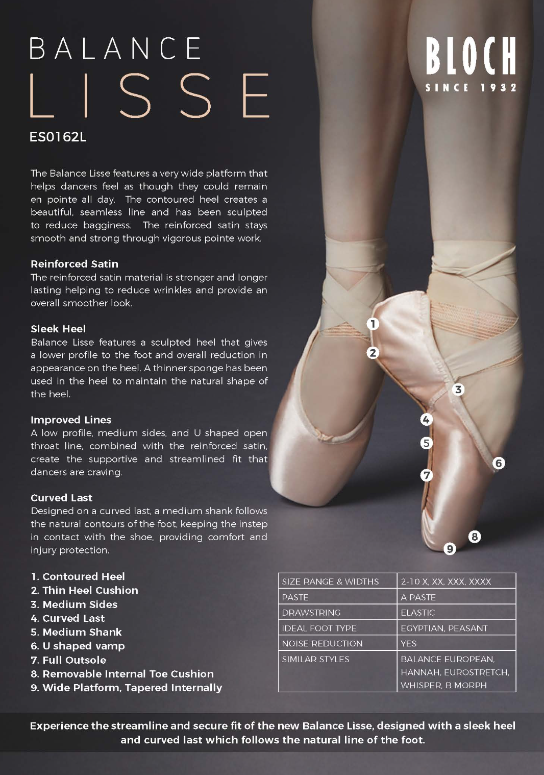 ES0162L Balance Lisse Pointe Shoe