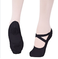 2037W Hanami Ballet Slipper