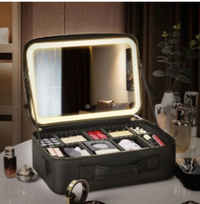 DS2010 Cosmetic Case with LED Mirror